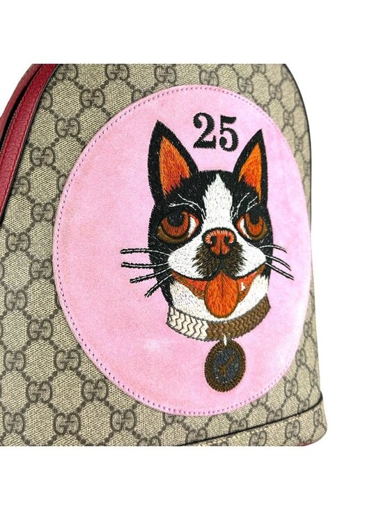 Gucci Backpack Bosco Brown main image 10